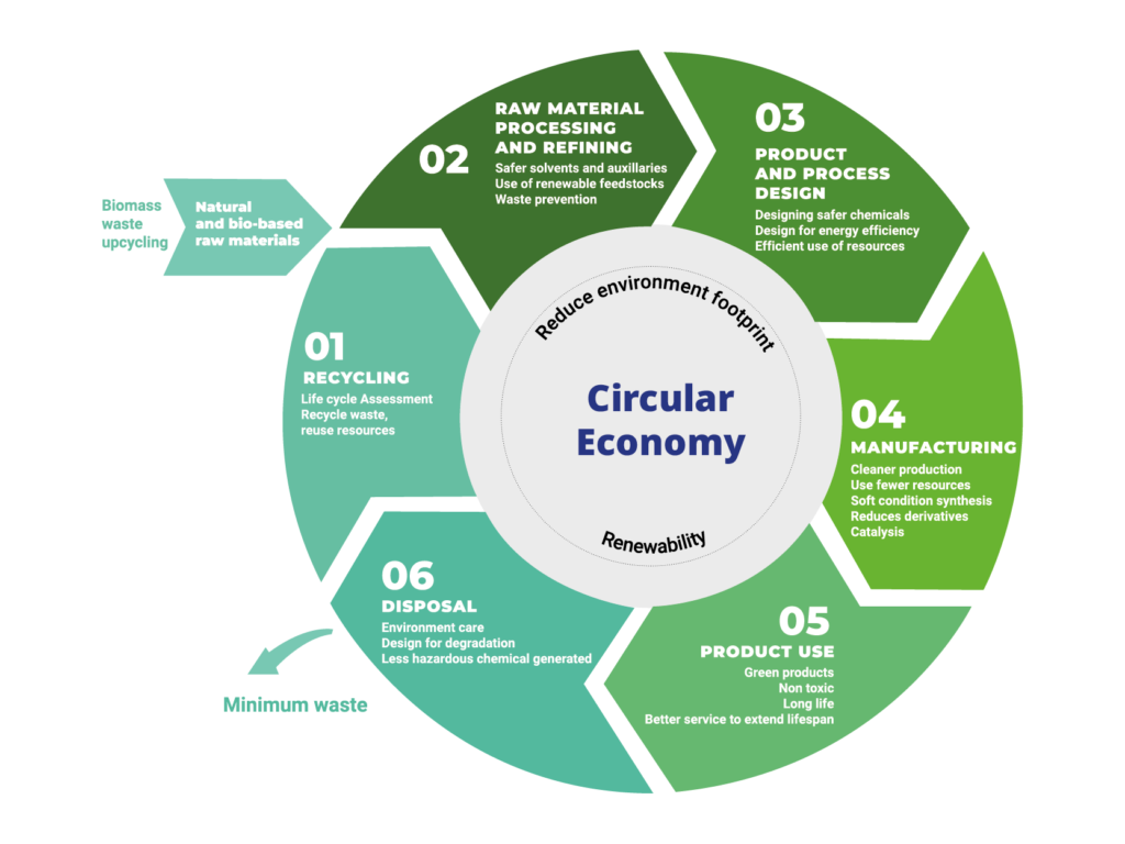 circular economy graphe