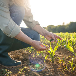 crop protection green products